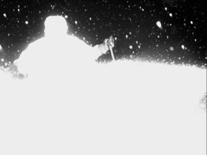 Raide Research - LF 2L